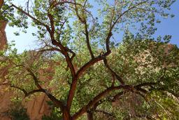 Angles [sat aug 30 10:01:28 mdt 2025]